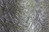 Hambridge fibreglass roof work